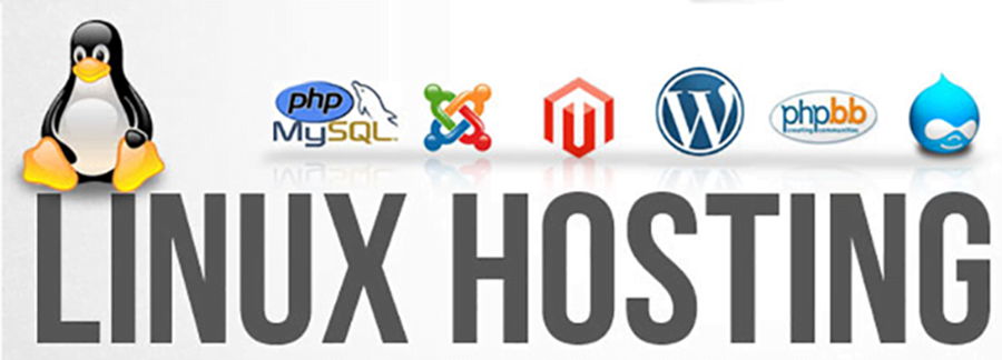 hosting linux là gì