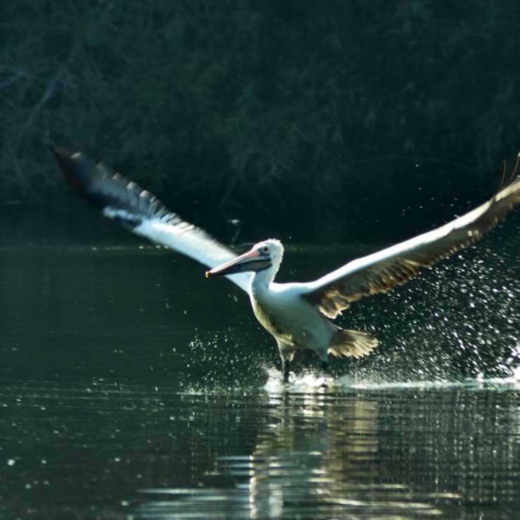 Làm thế nào để tạo một trang Landing chuyển đổi
